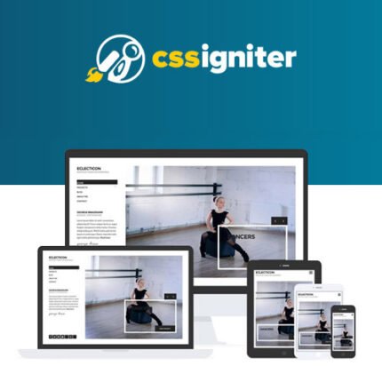 CSS Igniter Eclecticon WordPress Theme - Download $4.49